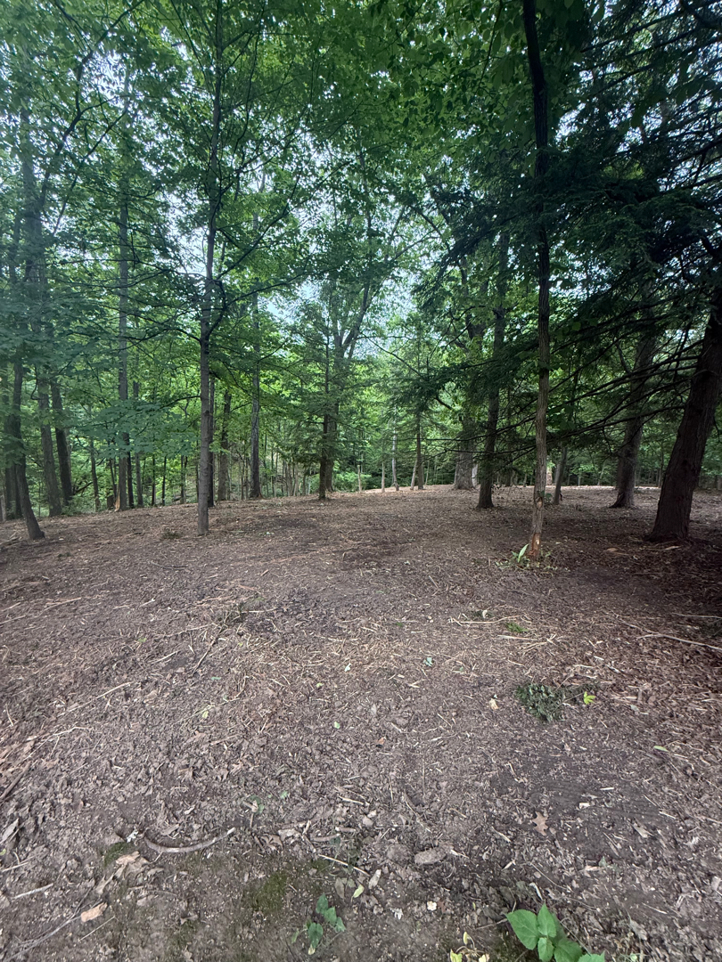 Cleared property after forestry mulching and brush removal
