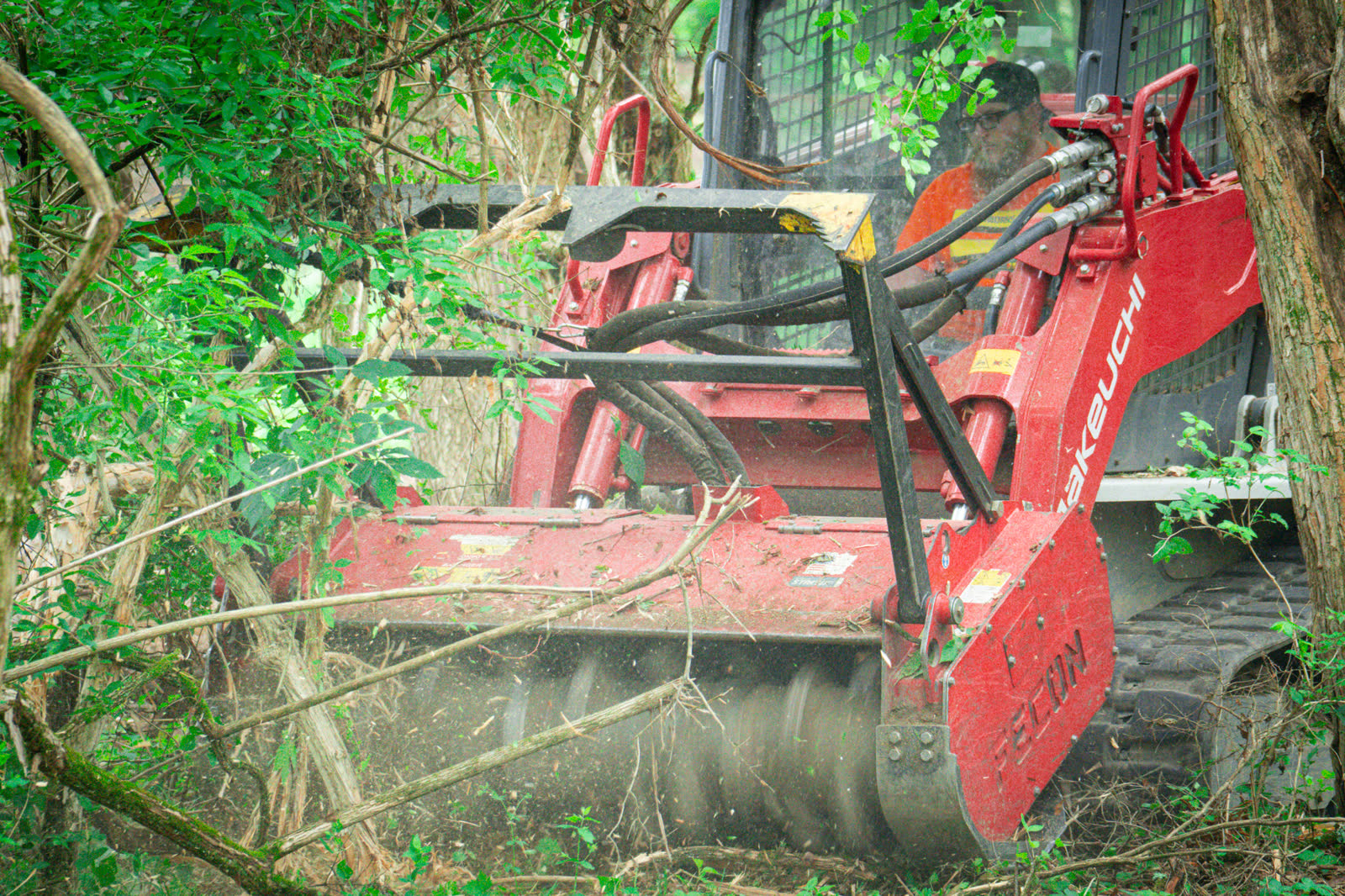 Brushworks forestry mulcher processing honeysuckle, saplings, and invasive brush